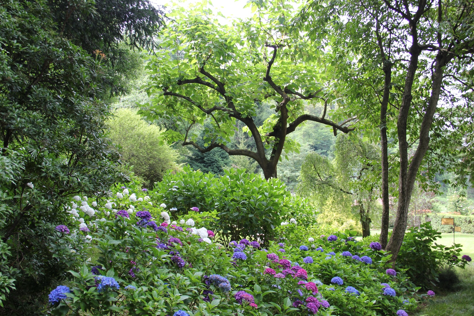 Garden Maintenance